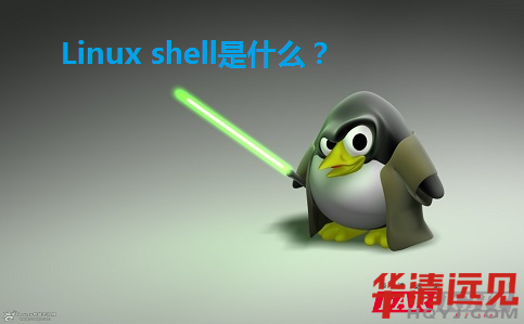 Linux shell��ʲô
