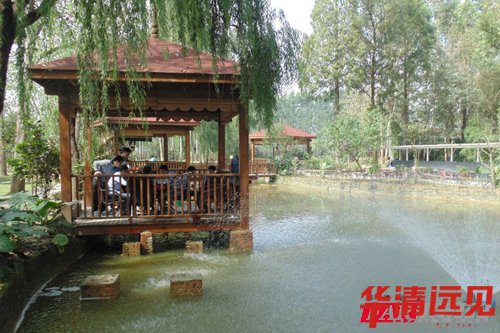 ������Ƭ����ʥ�l���Ҳ˵�һ����-�ɶ��W�T���